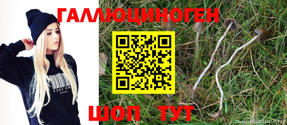 Магнитогорск  Галлюциногенные грибы ЛСД  Вход с VPN 